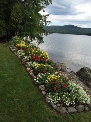 Flower garden in Maine from Bette